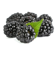 Kosher Top Kwaliteit Gevriesdroogde Black Raspberry Poeder Zwarte Raspberry Extract