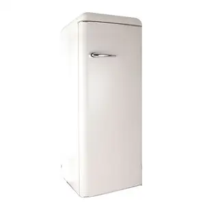 BC 248VX 베스트 셀러 인기 242l 홈 냉장고 단일 문