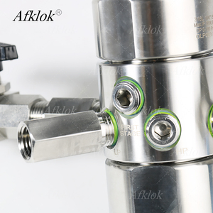 Regulador de alta presión de dos etapas para nitrógeno, dióxido de carbono, oxígeno, propano, OEM y ODM para argón - Product Image 6