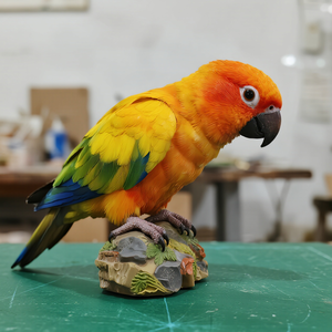 Ukuran hidup Model burung nuri realistis simulasi hewan animatronik taman tema kustom untuk obral pajangan kebun binatang - Product Image 3