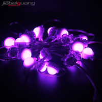 Lumières de Noël extérieures permanentes pour la maison, module de lumière LED à pixels 12v 24v, IP68, RGBW, lumières extérieures permanentes