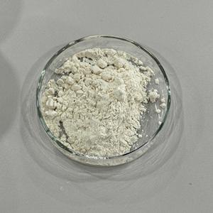 88MC Source de protéines de levure Usine Poudre de protéines végétariennes Matière première Faible taux de cholestérol Source non animale - Product Image 2