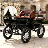 Nouvelle Arrivée Vente en Gros Chariot de Marathon Électrique à 4 Roues pour Poney, Frein à Disque Hydraulique, 2-4 Personnes, Nouveau Design, Petite Carrosse pour Chevaux
