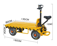 Chariot à plateforme en acier à batterie personnalisable OEM 100 kg, tricycle électrique, camion à quatre roues, outils de magasinage à trois roues