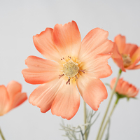 Kain buatan bunga kosmos alami 60cm Hari Ibu Natal Paskah pabrik sekolah kembali Halloween