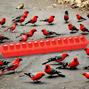 Matériel d'élevage Plaque d'alimentation en eau et faisan en plastique utilisée pour poulets et volailles Mangeoires pour animaux à usage domestique pour oiseaux de ferme - Product Image 1