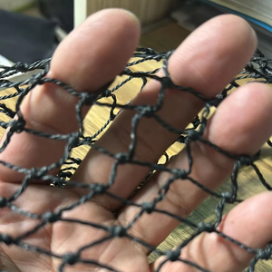 Zwaarlast PE/PP/Polyester/Nylon/Cargo/Vis/Vogel/Volleybal/Hockey/Tennis/Honkbal/Voetbal/Dronen/Veiligheidsnet - Product Image 4