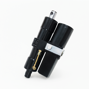 Mini vérin hydraulique bidirectionnel TG50-250 en fonte pour équipement de levage - Product Image 1