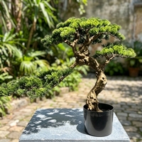 Plante Bonsaï Artificielle en Pot en Plastique, Arbre Bonsaï Réaliste, Plante Verte Artificielle Écologique, Haute Simulation pour Mariage et Maison