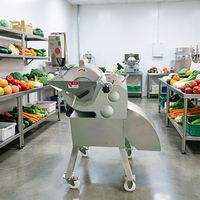 YOUBAN 3D Snijmachine voor vers & diepvries vlees (rund, varken, kip), fruit en groenten, met 2000W motor