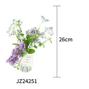 Año Nuevo Día DE LA MADRE Acción de Gracias Año Nuevo chino Moldeado por inyección Pequeñas flores Plantación Pegamento Botellas de agua conservadas - Product Image 2