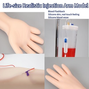 Ngân sách thân thiện với Silicone IV tiêm đào tạo cánh tay Mô hình giải phẫu PH15-040A truyền công cụ y tế khoa học <span class=keywords><strong>OEM</strong></span> - Product Image 5