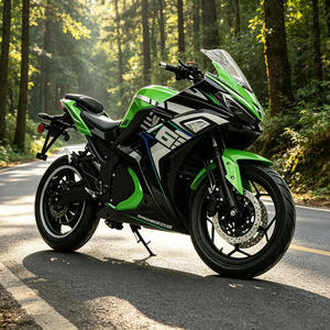 Moto électrique EEC en promotion, 72V 8000W, tout-terrain, puissante, pour adultes - Product Image 1
