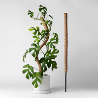 Offre transfrontalière exceptionnelle : Support de plante en forme de tige de cocotier flexible, poteau en mousse pour jardinage de radis vert