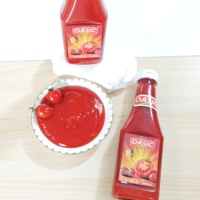 Ketchup aux tomates de même qualité OEM 340g/5L Sauce tomate