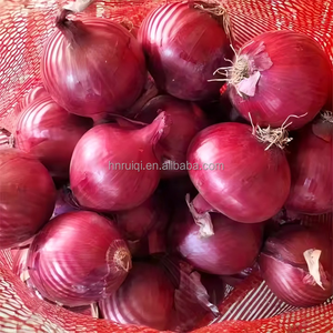 Bán Buôn Trung Quốc Tươi Màu Đỏ Hành Tây Chất Lượng Cao Màu Đỏ Hành Tây Tươi - Product Image 4