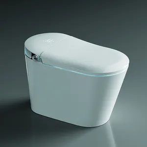 High end modern bathroom auto open cover wc elettrico intelligente wc wc automatico intelligente con sistema di aromaterapia