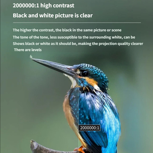 โปรเจคเตอร์เลเซอร์ <span class=keywords><strong>Acer</strong></span> LU-P500F 5500 ANSI ลูเมนส์ สำหรับงานวิศวกรรม ความละเอียด 1080P Full HD DLP ระดับมืออาชีพ สำหรับธุรกิจ การศึกษา ขายส่ง - Product Image 6