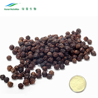 Functioneel voedingsplantenextract in bulk, zwarte peper extract poeder 95% 98% Piperine extract