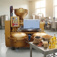 Presse à huile intégrée YZLXQ140 avec filtre à huile pour graines de tournesol, graines de soja, arachides, graines de sésame