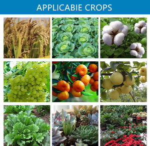 <span class=keywords><strong>Engrais</strong></span> liquide et en poudre à base d'acide humique, conditionneur de sol organique haute performance <span class=keywords><strong>pour</strong></span> l'agriculture - Product Image 4