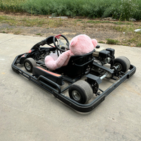 Karts de course à grande vitesse Simple Double Carburant électrique 200cc 250cc 500cc Moteurs pour usage extérieur Vente de karts à essence bon marché