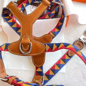 Ensemble de laisse et de <span class=keywords><strong>harnais</strong></span> <span class=keywords><strong>pour</strong></span> chien et chat en cuir véritable de marque de luxe, <span class=keywords><strong>harnais</strong></span> <span class=keywords><strong>pour</strong></span> chien, laisse, accessoires <span class=keywords><strong>pour</strong></span> animaux de compagnie - Product Image 6