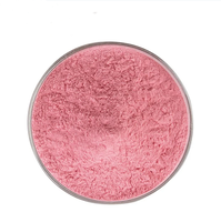 Poudre de jus de fraise biologique, poudre fine rose, poudre de fruit de fraise biologique 4:1