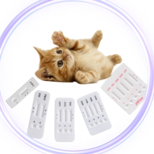 <span class=keywords><strong>Feline</strong></span> <span class=keywords><strong>fiv</strong></span> AB/felv Ag/ Giardia kháng nguyên Combo nhanh chóng Kit kiểm tra cho thú y sử dụng - Product Image 2