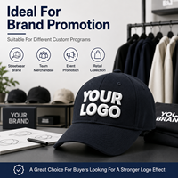 Gorra de béisbol personalizada con bordado 3D en relieve, logotipo en relieve, estructurada, de seis paneles, de algodón, para promoción de marcas de ropa urbana.