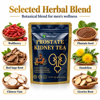 Tisane pour la Prostate et les Reins – Bien-être Masculin – Sachets de Tisane aux Herbes – Vitalité Quotidienne – Soutien Urinaire – Mélange Botanique Naturel – Fournisseur en Gros