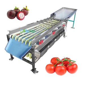 Máquina Clasificadora de Aguacates, Cebollas, Patatas, Ajos, Tomates, Kiwis, Arándanos y Dátiles por Tamaño - Product Image 1