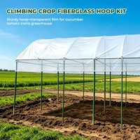 Kit complet de serre en fibre de verre, structure de serre anti-corrosion, support de serre agricole
