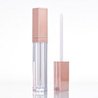 Le dernier design présente un tube de gloss à lèvres carré rose doré de 5 ml avec un logo de marque personnalisé sur le tube de gloss à lèvres argenté.