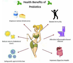 Mejor precio bacterias Lactobacillus Heiveticu hombres probióticos Streptococcus Thermophilus polvo - Product Image 6