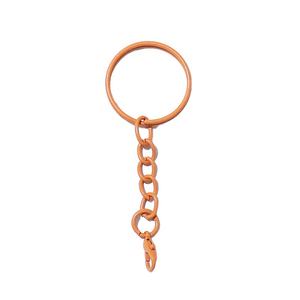 Porte-clés en métal peint couleur fer, fermoir mousqueton, accessoires pour poupées, fabrication de bijoux DIY, pendentif porte-clés, sans nickel, vente en gros - Product Image 5