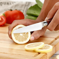 Éplucheur de fruits portable Tc, couteau à fruits moderne en acier inoxydable, 3,5 pouces, couteau à éplucher les fruits avec lame en acier inoxydable