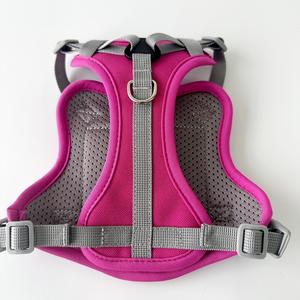 Direktverkauf ab Werk Luxuriöse Modische Personalisierte Polyester-Katzenleine und -Geschirr in Verschiedenen Farben Verstellbar - Product Image 5