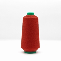 Filament de polyamide teint 100 % nylon 70D/24F en gros pour la fabrication de chaussettes, de bonneterie et de rubans en dentelle