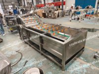 VBJX Industriële op maat gemaakte roestvrijstalen continue fruit- en groentewas- en droogmachine