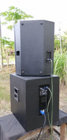 Carte d'amplification de subwoofer Classe D avec DSP intégré, module d'amplification de haut-parleur 3000W pour subwoofer intérieur/extérieur