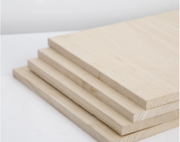 Planche de Taekwondo jetable en bois de Paulownia écologique pour l'entraînement en salle, fabriquée en Chine
