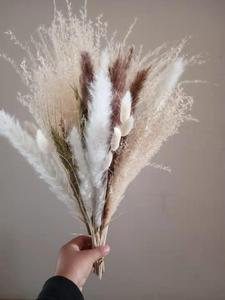 Jarrón Moderno <span class=keywords><strong>con</strong></span> <span class=keywords><strong>Eucalipto</strong></span> Natural Preservado de Yunnan y Hierba de las Pampas - Accesorios de Decoración Ecológicos y Esponjosos para el Hogar, Bodas y Navidad - Product Image 3