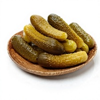 Cornichons (Gherkins) en conserve de qualité supérieure, épicés, assaisonnés, aigre-doux, conservés dans du vinaigre, fournisseur en gros pour l'exportation
