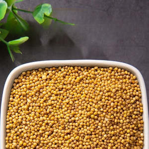 <span class=keywords><strong>Graines</strong></span> <span class=keywords><strong>de</strong></span> moutarde jaunes <span class=keywords><strong>de</strong></span> qualité supérieure, naturelles, entières, pour la mise en conserve et la transformation alimentaire - Product Image 2