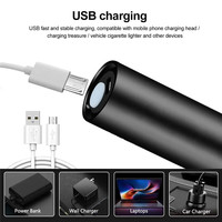 Senter lampu hitam UV Led Mini 365NM, dapat diisi ulang USB saku hewan peliharaan kebocoran noda Ore deteksi uang kalajengking