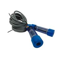 Générateur de chlore au sel autonettoyant par électrolyse de saumure 300g/h pour piscines ou électrolyseur de générateur d'hypochlorite de sodium