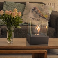 Cheminée décorative moderne TT-14 Mini de haute qualité, autoportante, en métal, pour l'intérieur, au bioéthanol, pour usage hôtelier