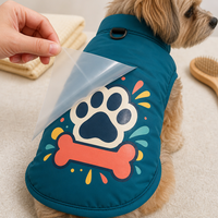 Transferts DTF personnalisés pour animaux de compagnie – Vente en gros directe usine – Impressions souples prêtes à presser pour vêtements (noms, numéros) – Fournisseur OEM – Toutes tailles et designs