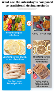 جهاز تجفيف بالتجميد أوتوماتيكي منزلي، مجفف فراغي لمعالجة الأغذية، سعة 4-6 كجم، كفاءة عالية وتكلفة منخفضة، معتمد من CE - Product Image 6